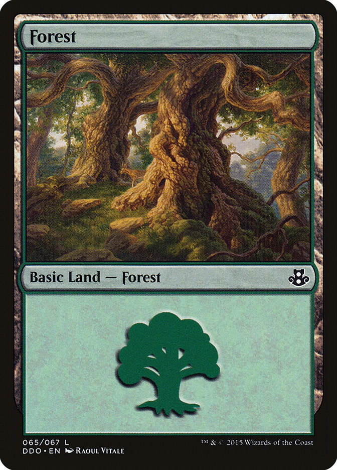 Forest (65) [Duel Decks: Elspeth vs. Kiora] | Devastation Store