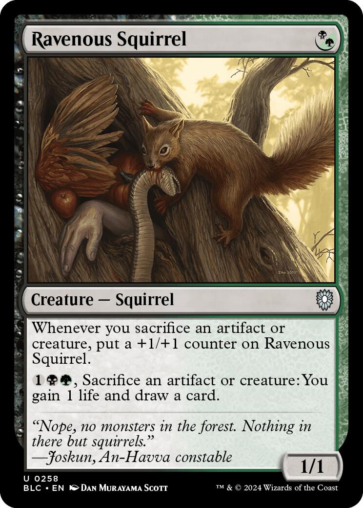 Ravenous Squirrel [Bloomburrow Commander] | Devastation Store
