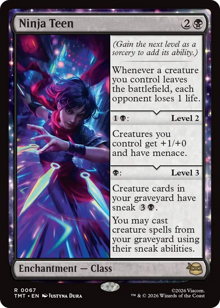 Ninja Teen [Teenage Mutant Ninja Turtles] | Devastation Store