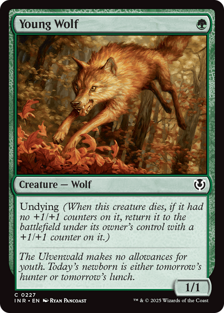 Young Wolf [Innistrad Remastered] | Devastation Store