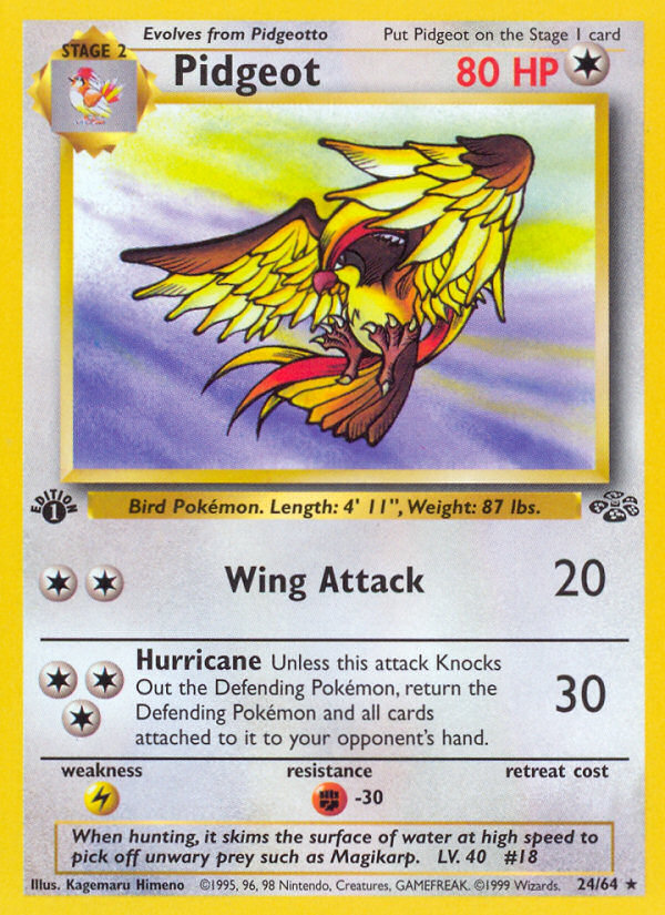 Pidgeot (24/64) [Jungle 1st Edition] | Devastation Store