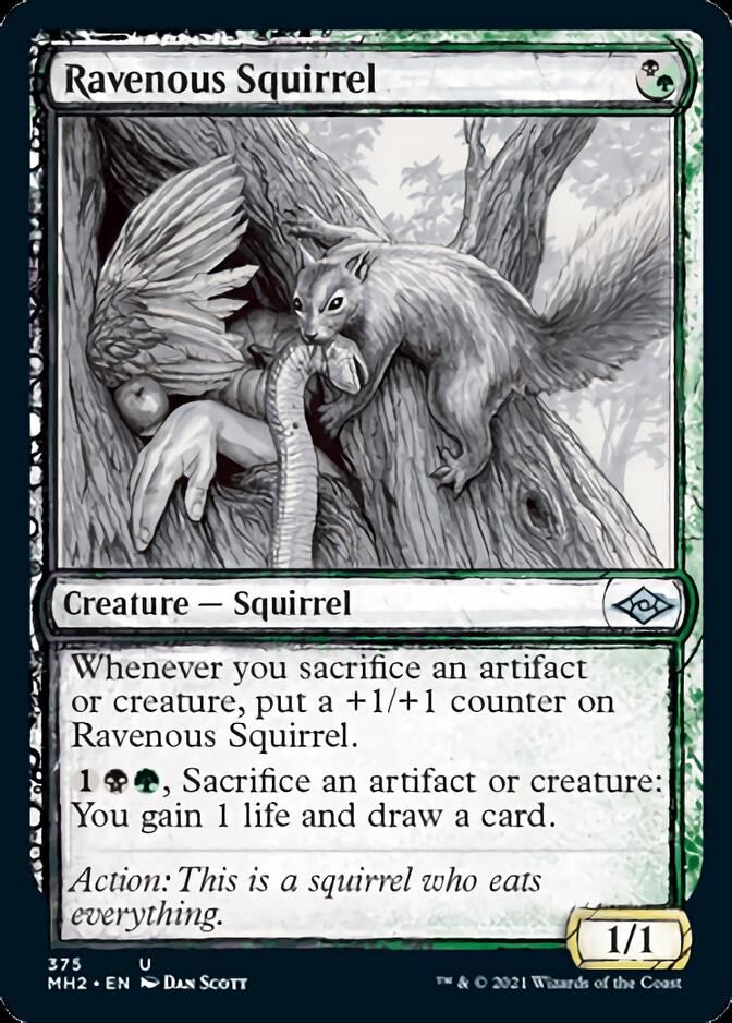 Ravenous Squirrel (Sketch) [Modern Horizons 2] | Devastation Store