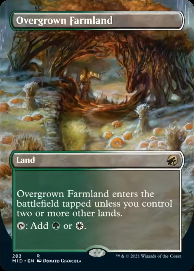 Overgrown Farmland (Borderless) [Innistrad: Midnight Hunt] | Devastation Store