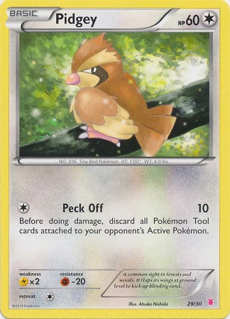 Pidgey (29/30) [XY: Trainer Kit 1 - Wigglytuff] | Devastation Store