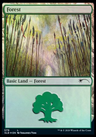 Forest (Elves) (579) [Secret Lair Drop Promos] | Devastation Store