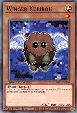 Winged Kuriboh [SGX1-ENA06] Common | Devastation Store