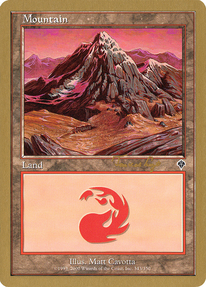 Mountain (tvdl343) (Tom van de Logt) [World Championship Decks 2001] | Devastation Store